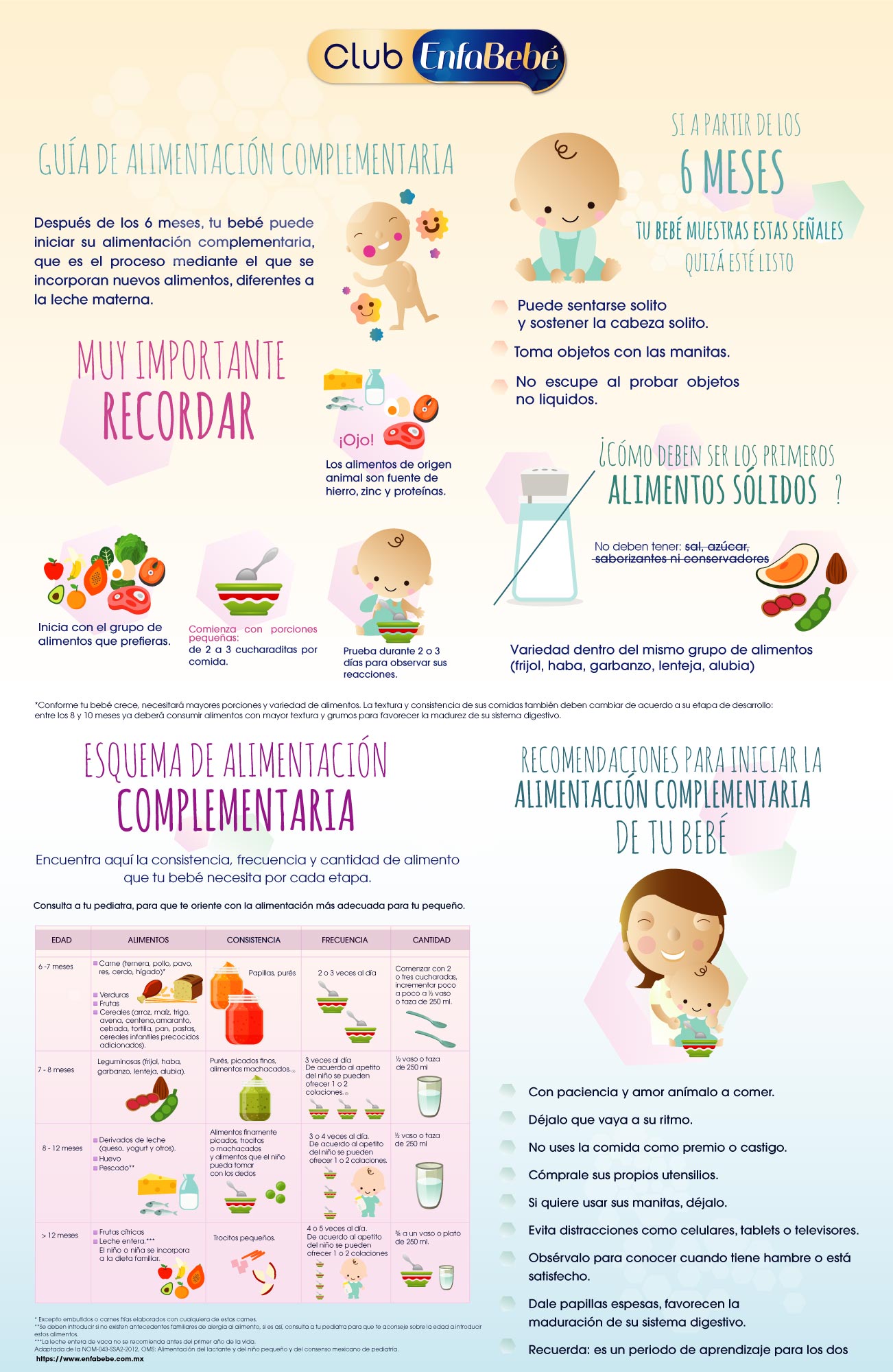 ¿ya Sabes Cómo Introducir La Alimentación Complementaria En Tu Bebé Enfabebé Méxicoemk 0771